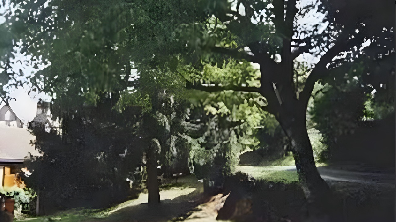 Photo of Outdoor in Saint-Andre-dAllas