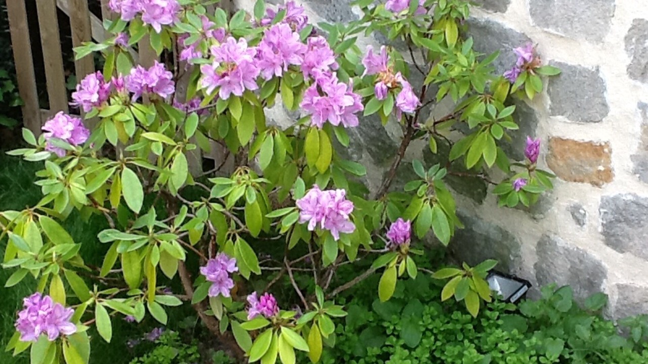 Photo of Outdoor in Barbizon