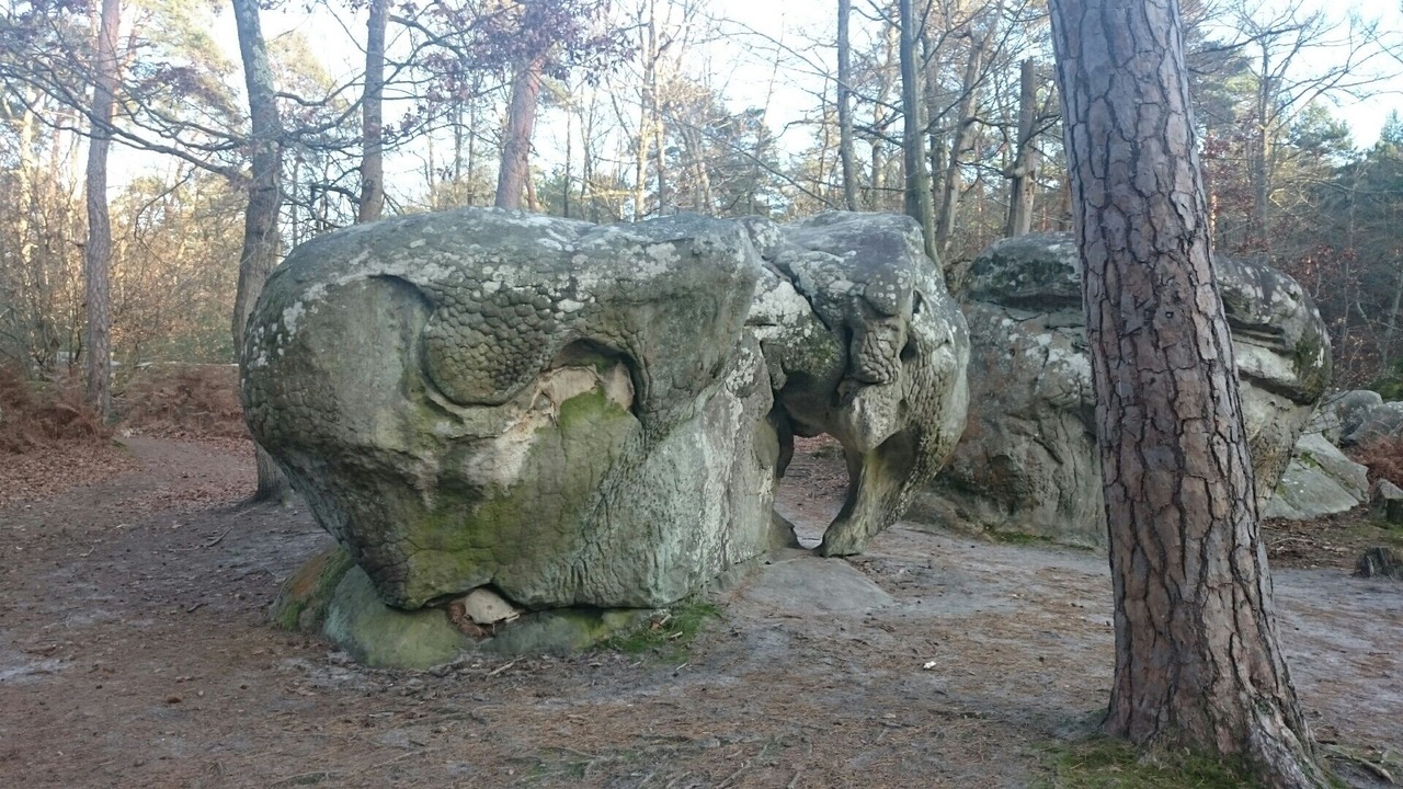Photo of Outdoor in Barbizon