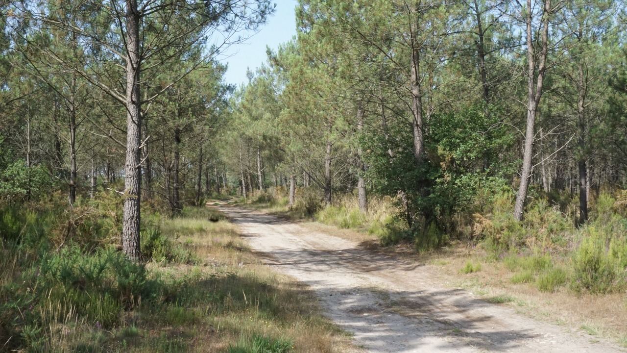 Photo of Outdoor in La Teste-de-Buch
