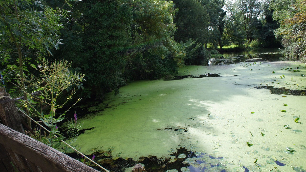 Photo of Outdoor in Pons