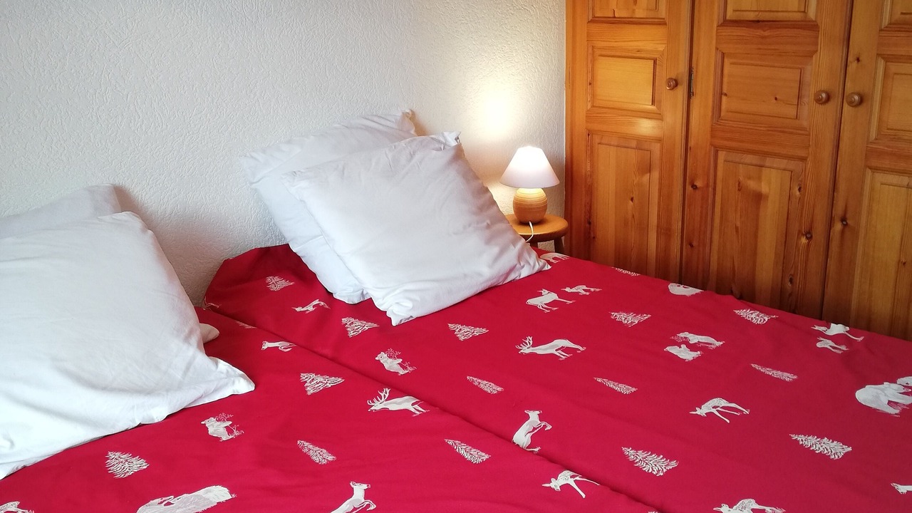 Photo of Bedroom in Saint-Martin-de-Belleville