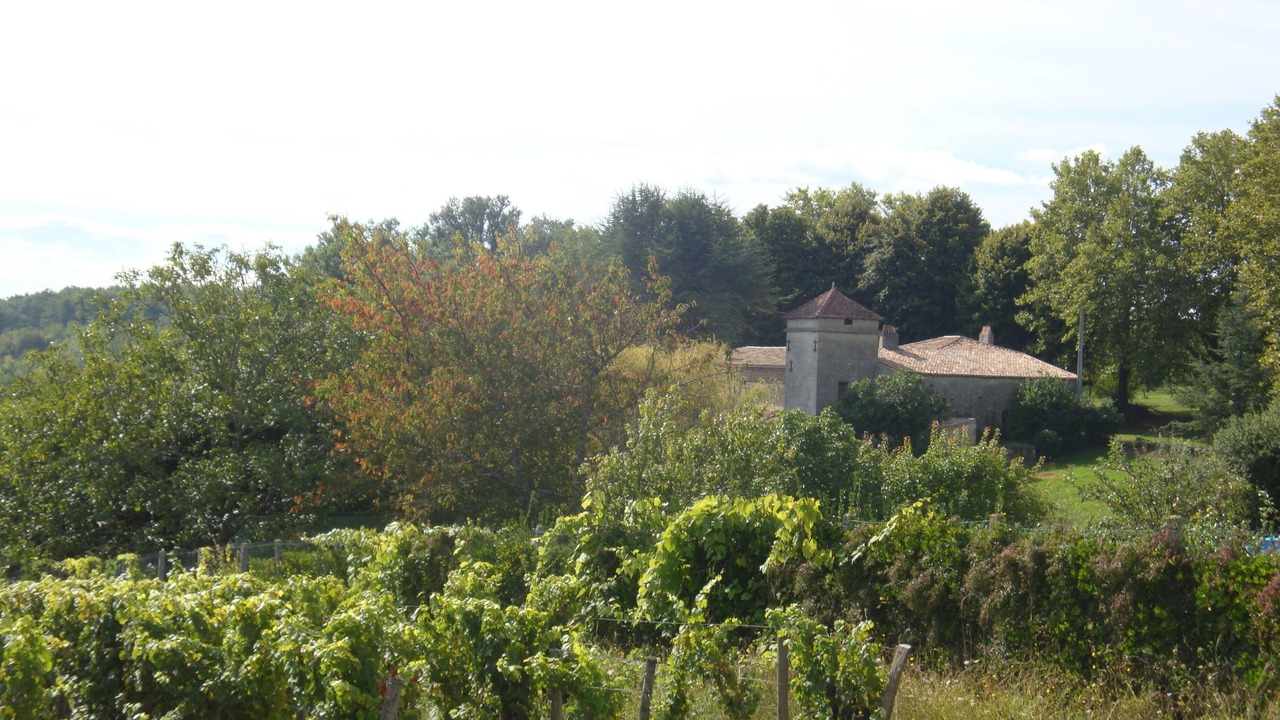 Photo of Outdoor in Saint-Aubin-de-Branne