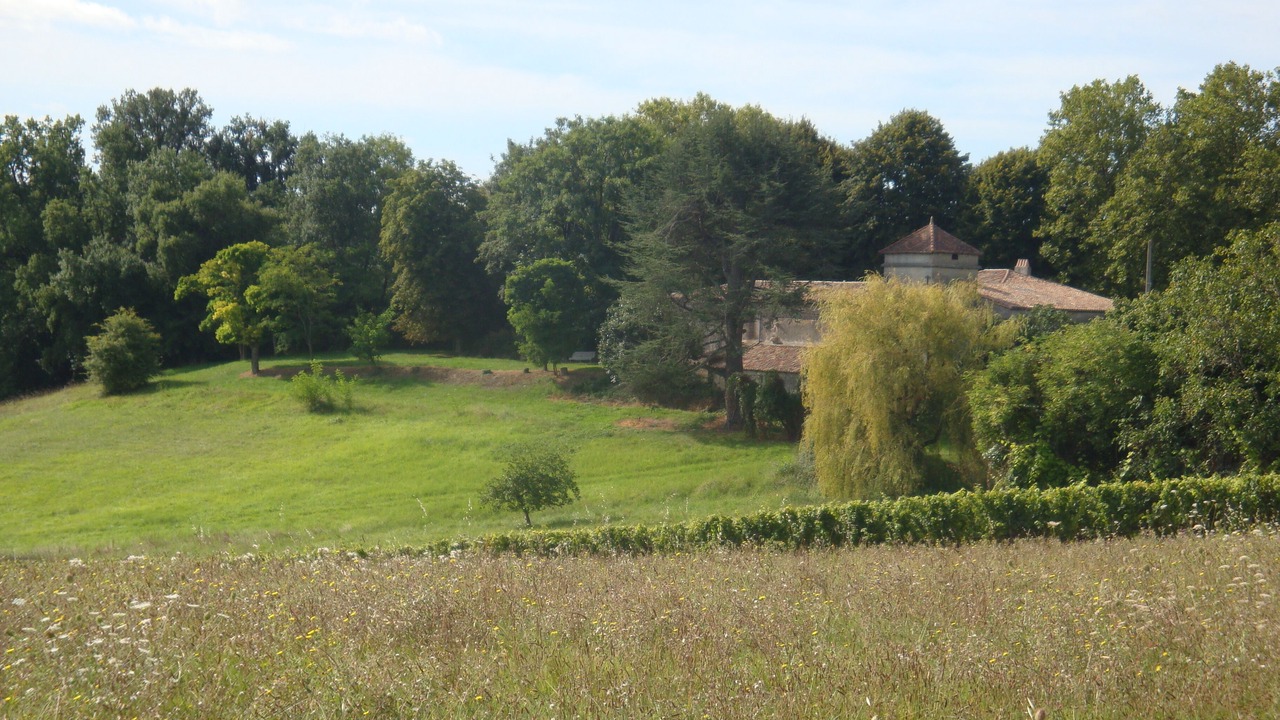 Photo of Others in Saint-Aubin-de-Branne