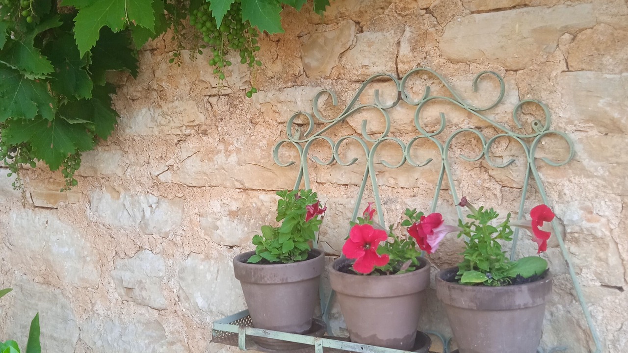 Photo of Outdoor in Daglan