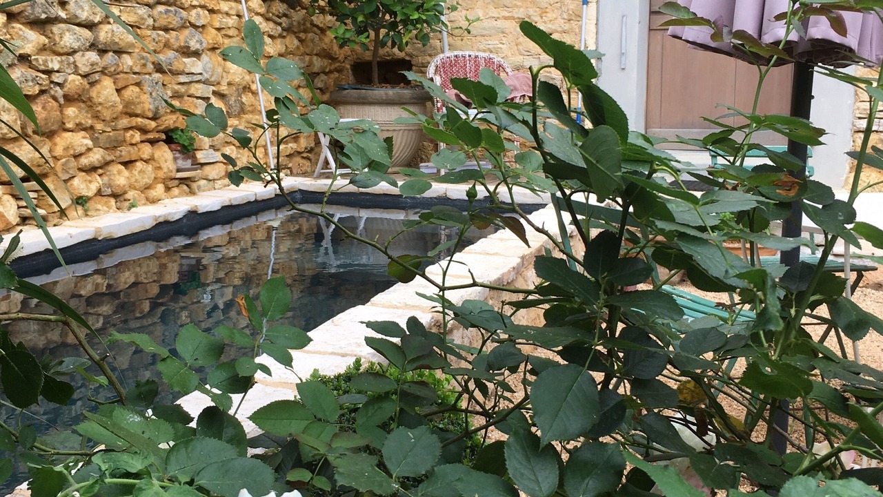 Photo of Outdoor in Daglan