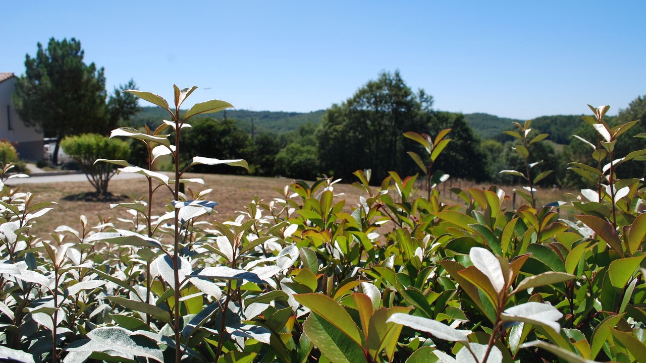 Photo of Outdoor in Gigouzac