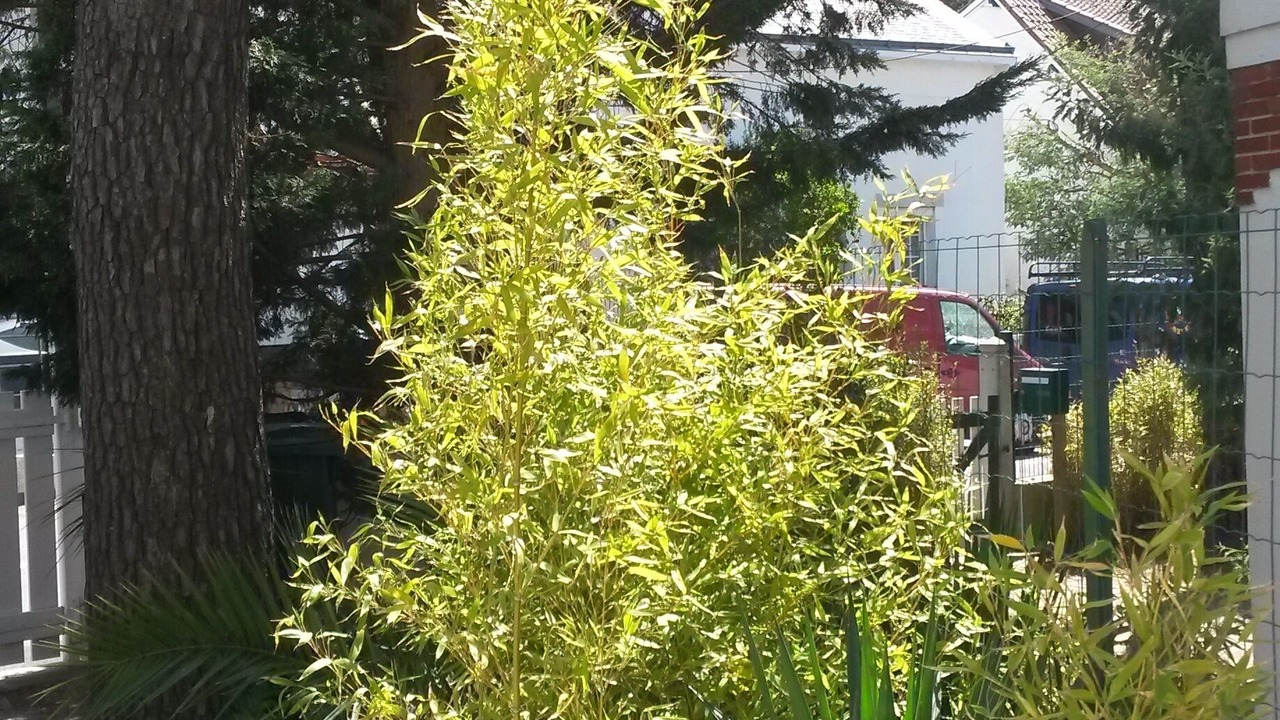 Photo of Outdoor in La Baule-Escoublac