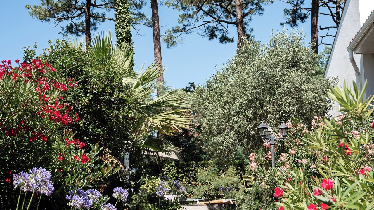 Photo of Outdoor in Biscarrosse Plage