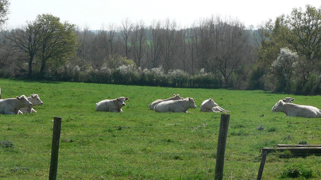 Photo of Others in Beaurepaire