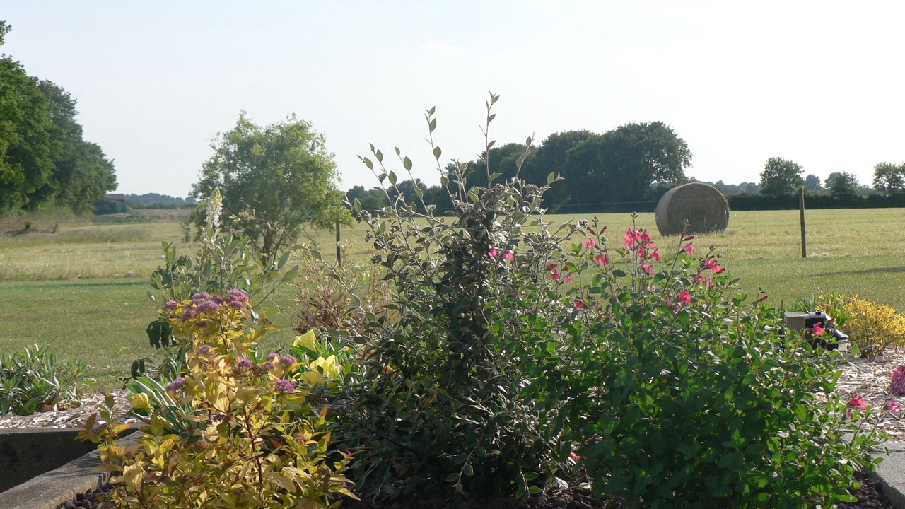 Photo of Outdoor in Beaurepaire