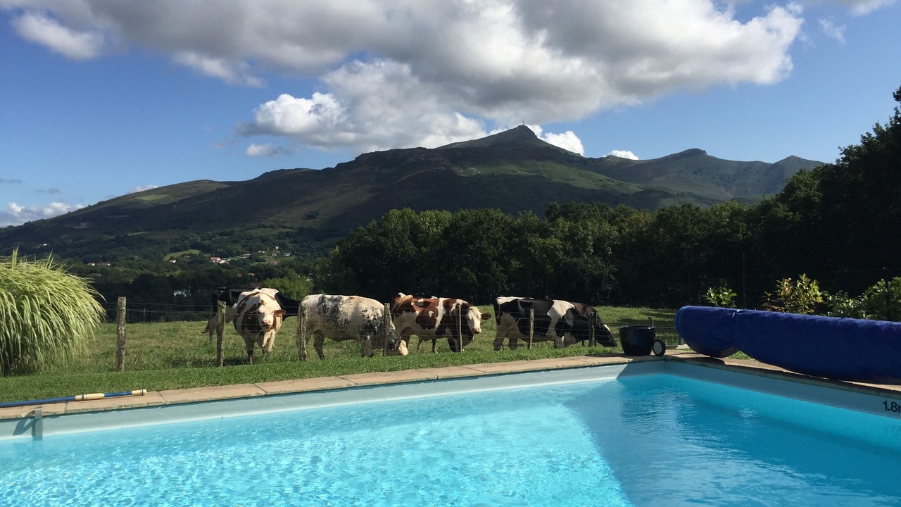 Photo of Outdoor in Ascain