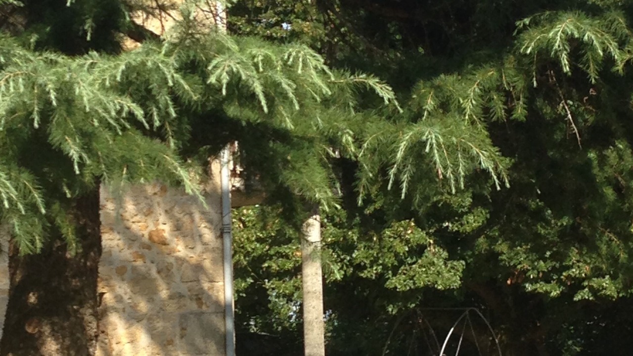 Photo of Outdoor in Fumel