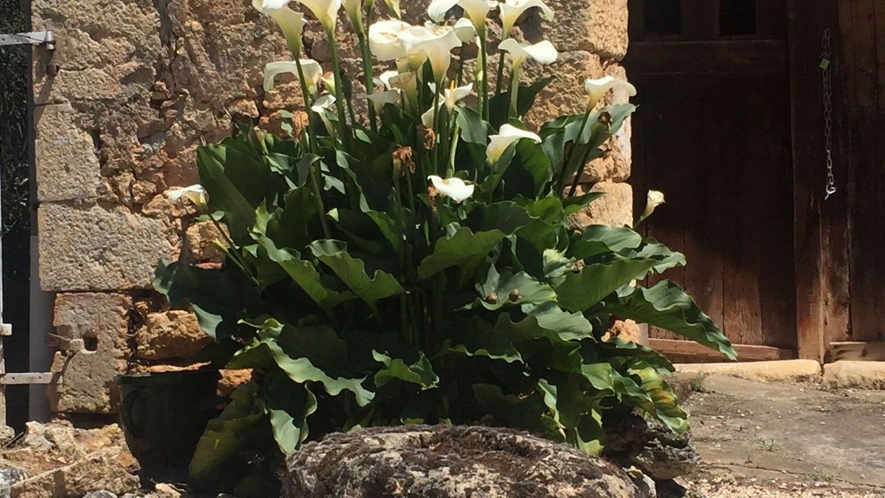 Photo of Outdoor in Fumel