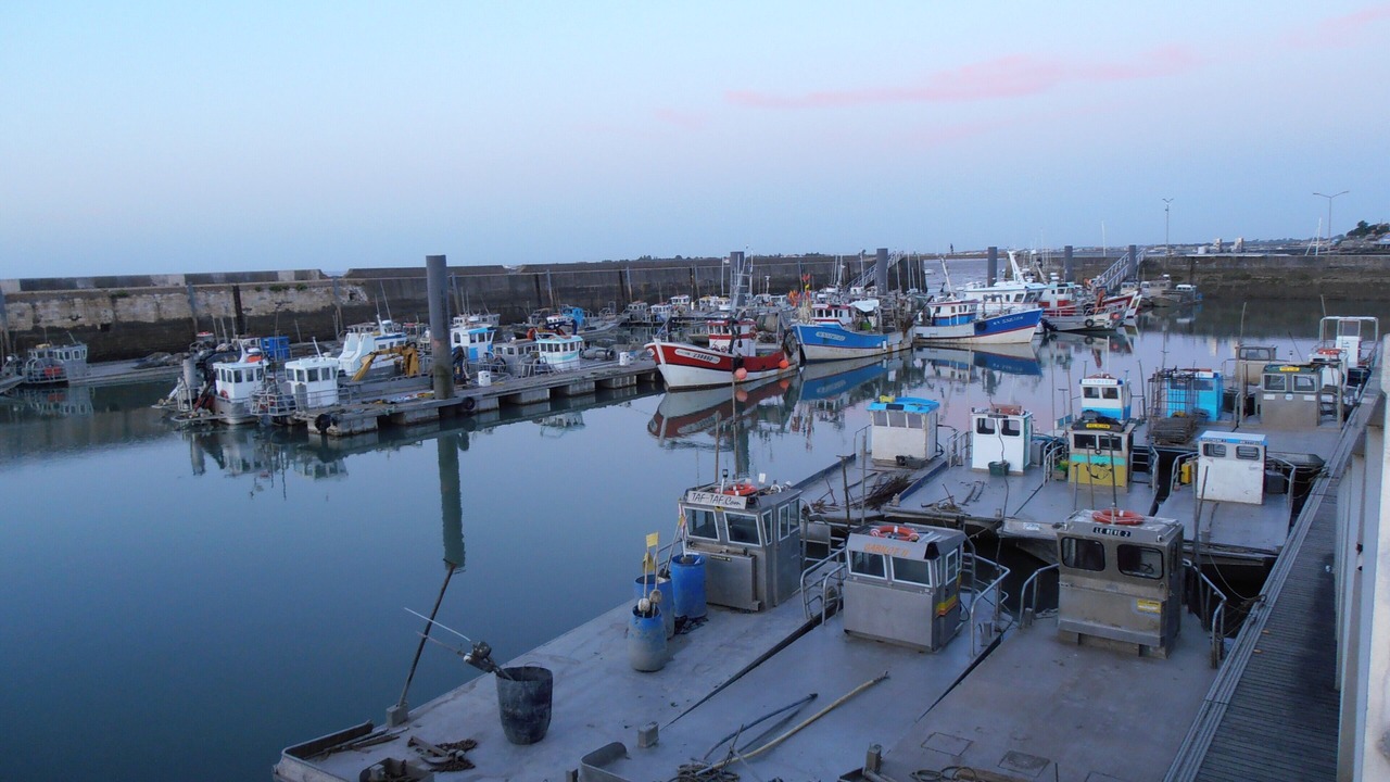 Photo of Others in Port-des-Barques