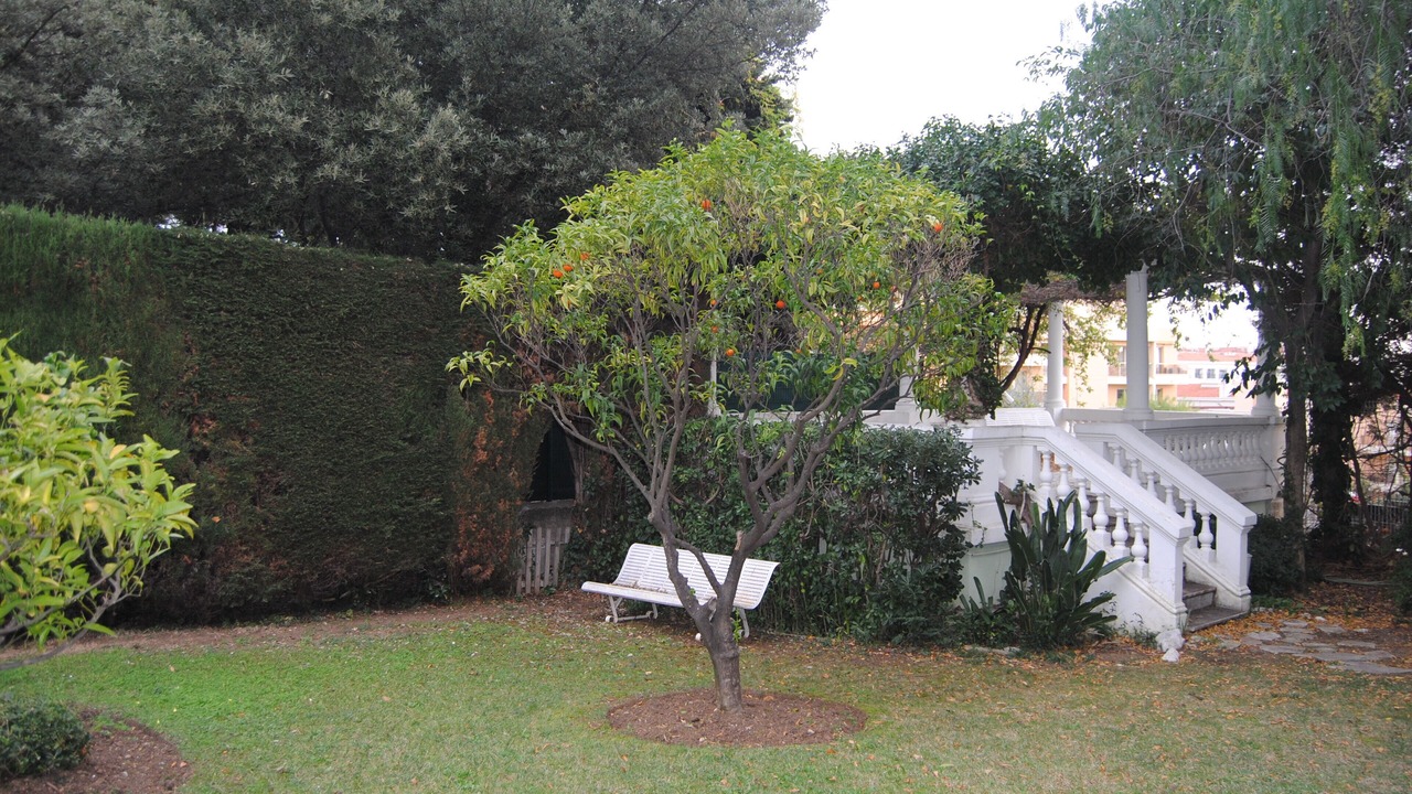 Photo of Outdoor in Fabron