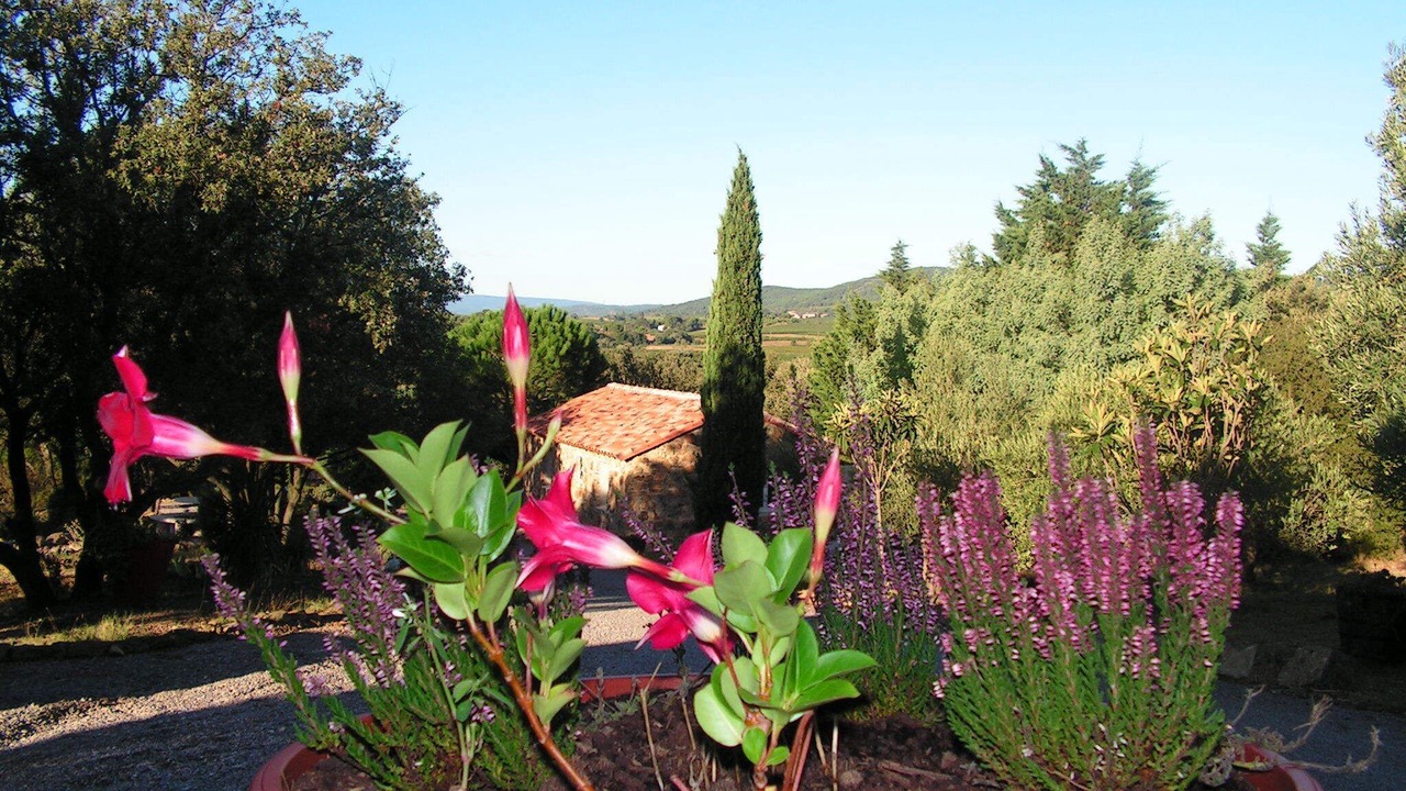 Photo of Outdoor in Saint-Andre-de-Roquelongue
