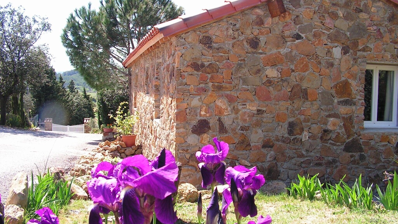 Photo of Outdoor in Saint-Andre-de-Roquelongue
