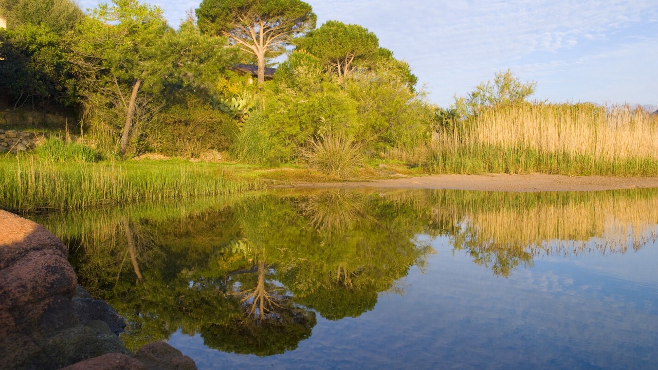 Photo of Outdoor in Pinarellu