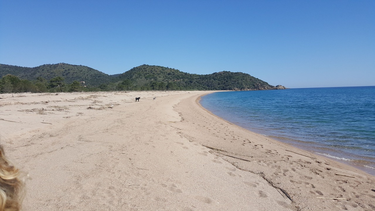 Photo of Others in Pinarellu