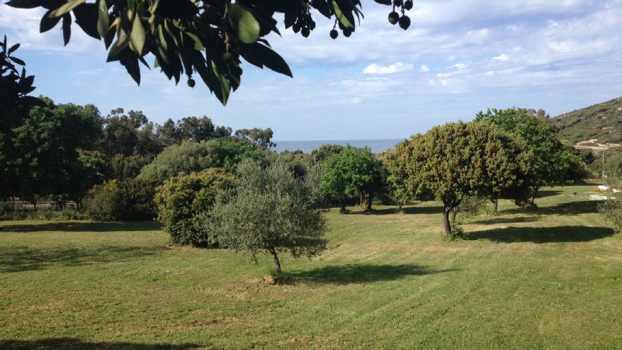 Photo of Outdoor in Corbara