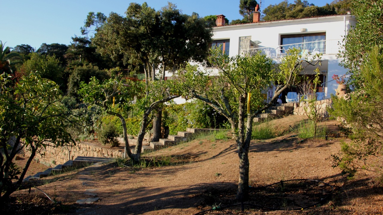 Photo of Outdoor in Verghia