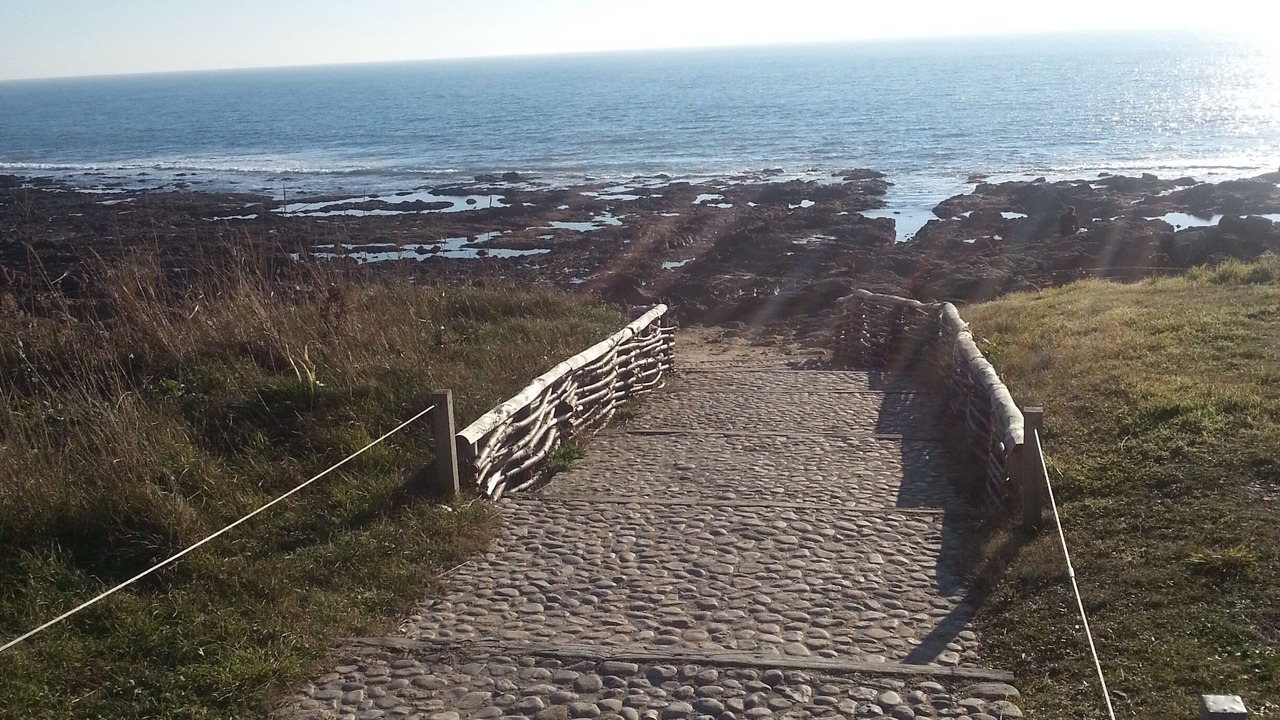 Photo of Others in Chateau-d'Olonne