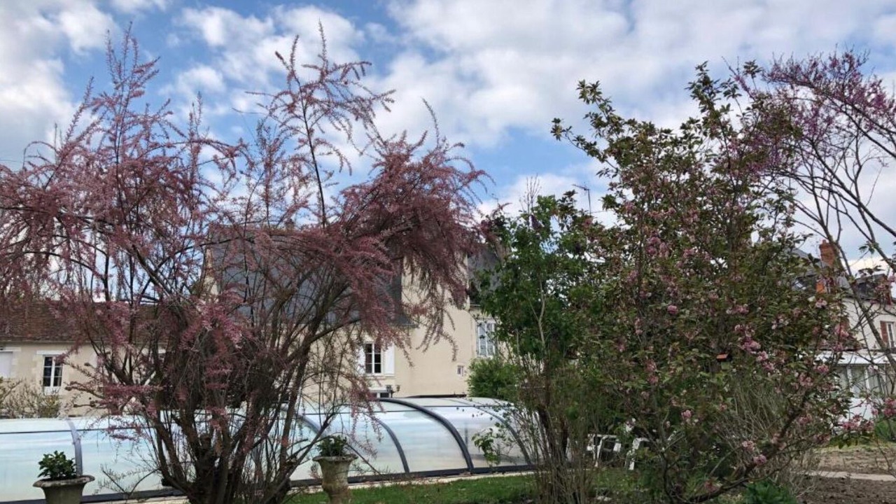 Photo of Outdoor in Huisseau-sur-Cosson