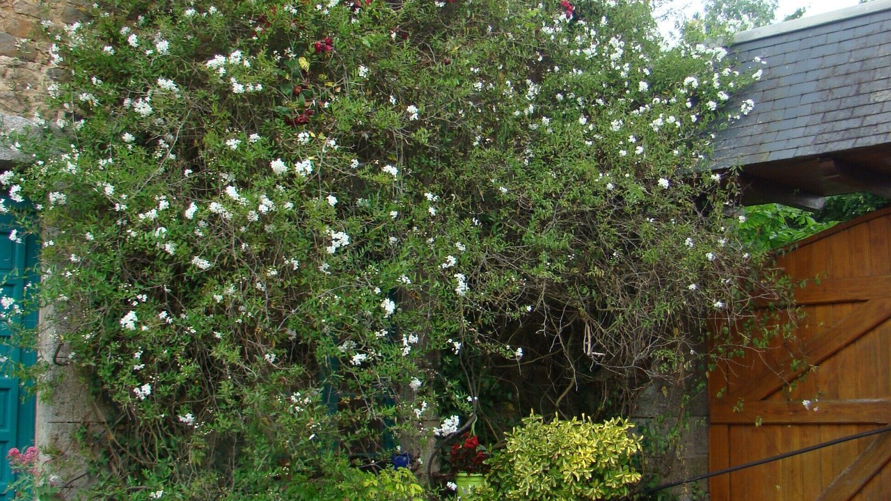 Photo of Outdoor in Saint-Donan