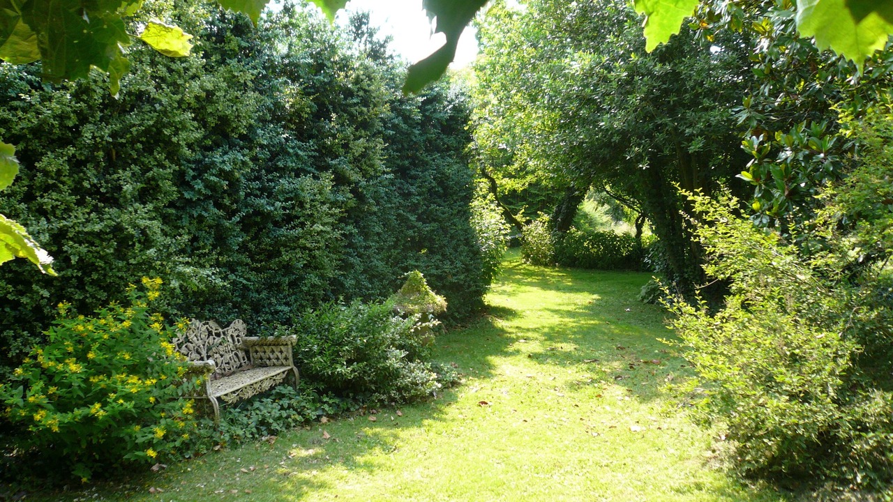 Photo of Outdoor in Paulin