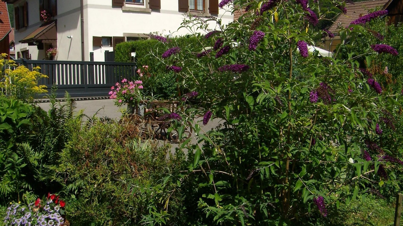 Photo of Outdoor in Stosswihr