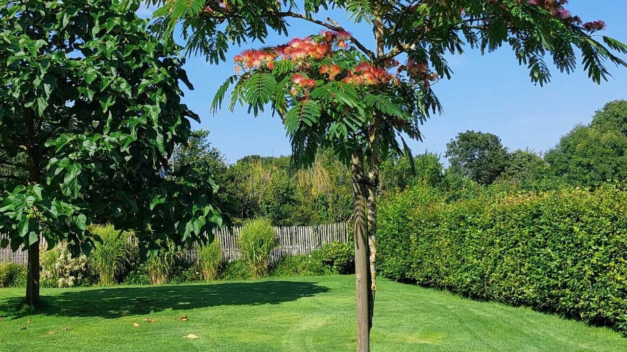Photo of Outdoor in Vaucelles