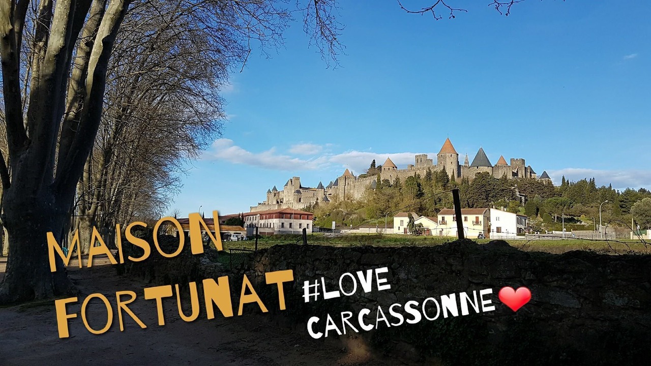 Photo of Others in Carcassonne