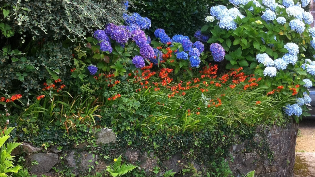 Photo of Outdoor in Perros-Guirec