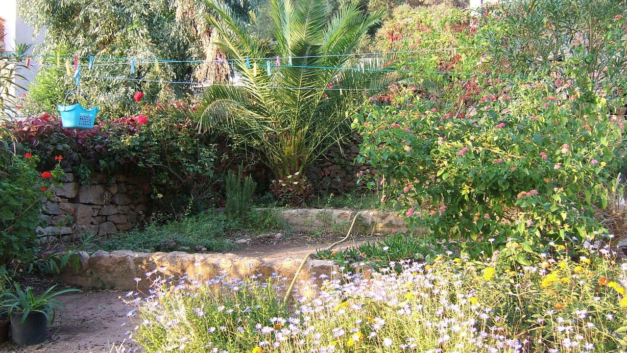 Photo of Outdoor in Monacia-d'Aullene
