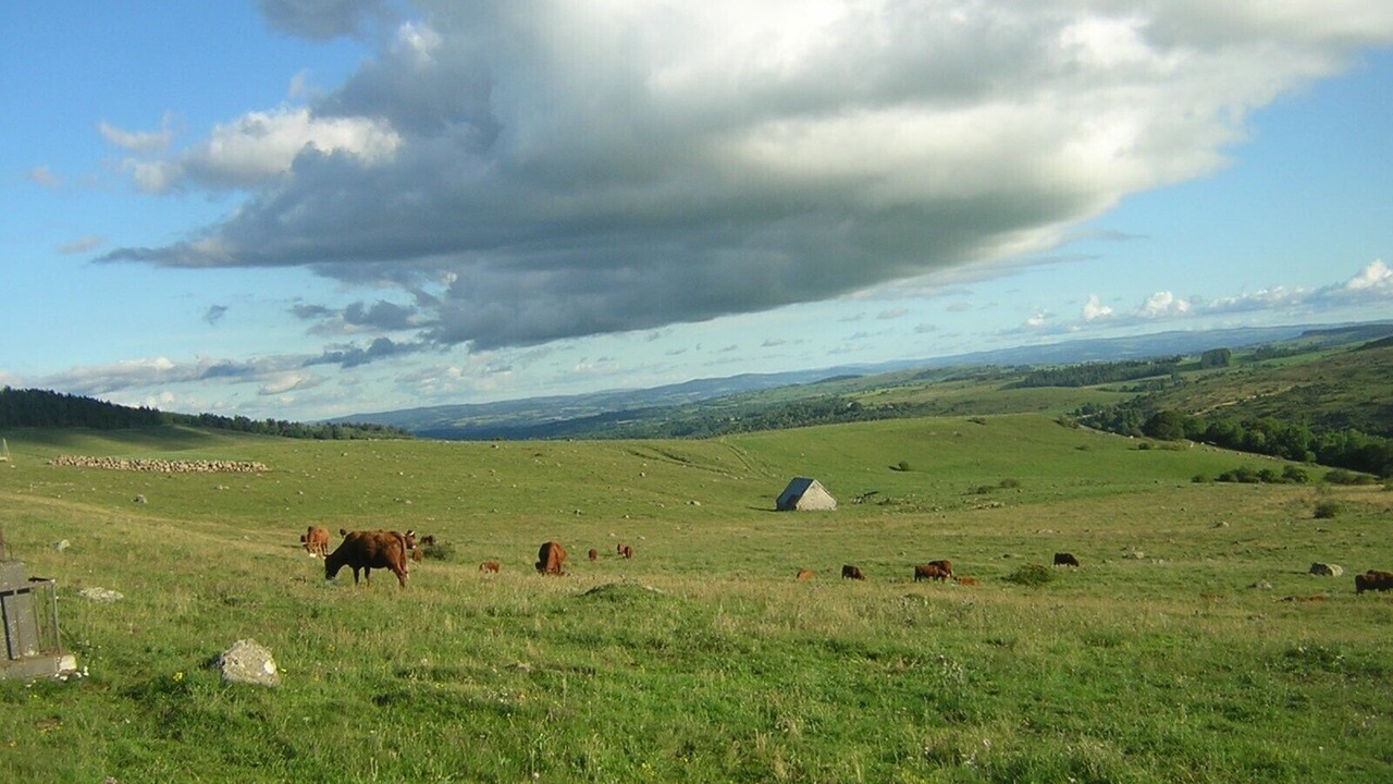 Photo of Outdoor in Le Vigean
