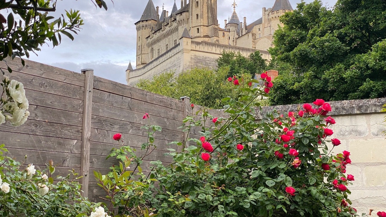 Photo of Outdoor in Saumur