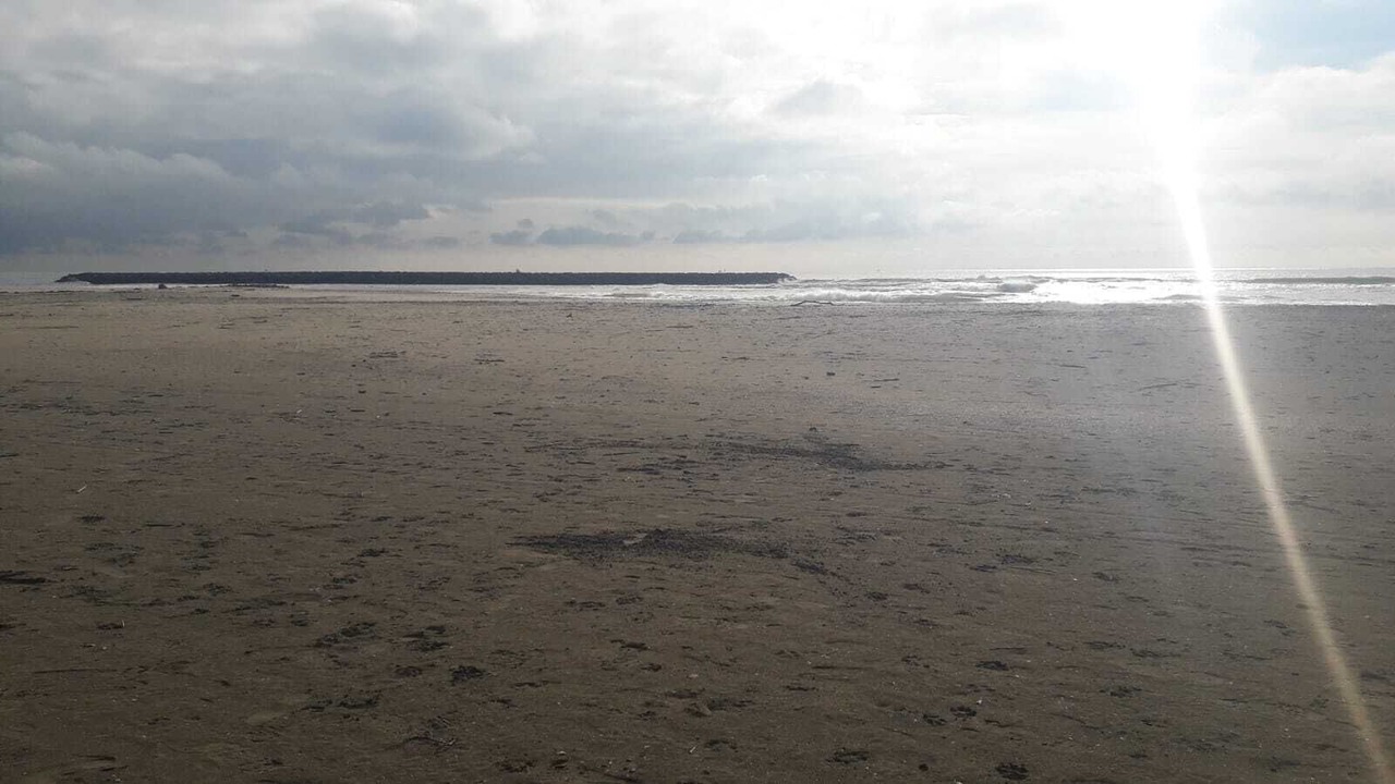 Photo of Others in Le Grau-dʼAgde