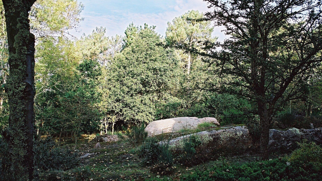 Photo of Outdoor in Perros-Guirec