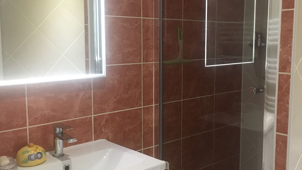Photo of Bathroom in Palaja