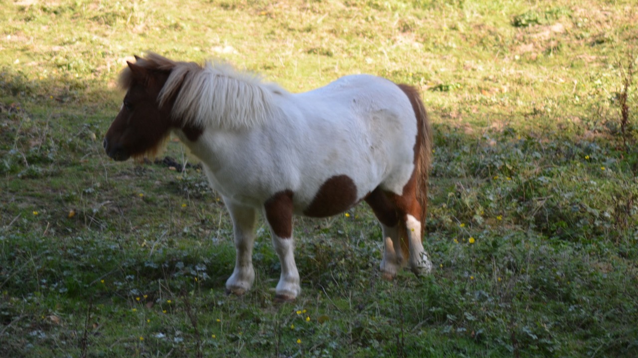 Photo of Outdoor in Saint-Ouen-de-Thouberville