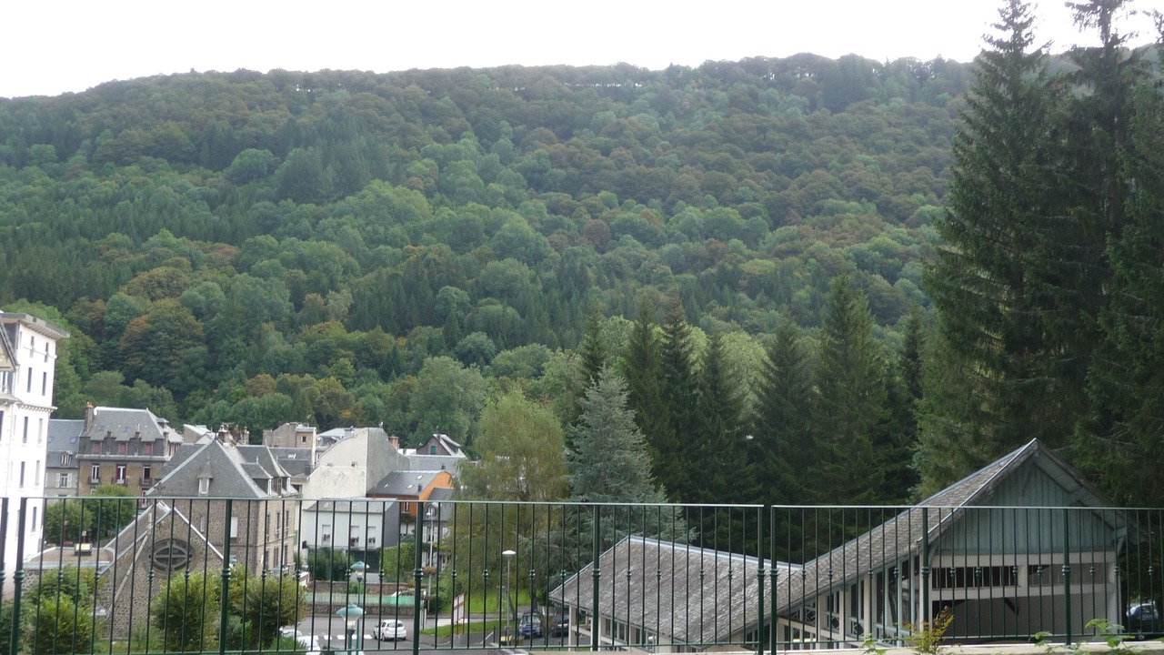 Photo of Others in Mont-Dore