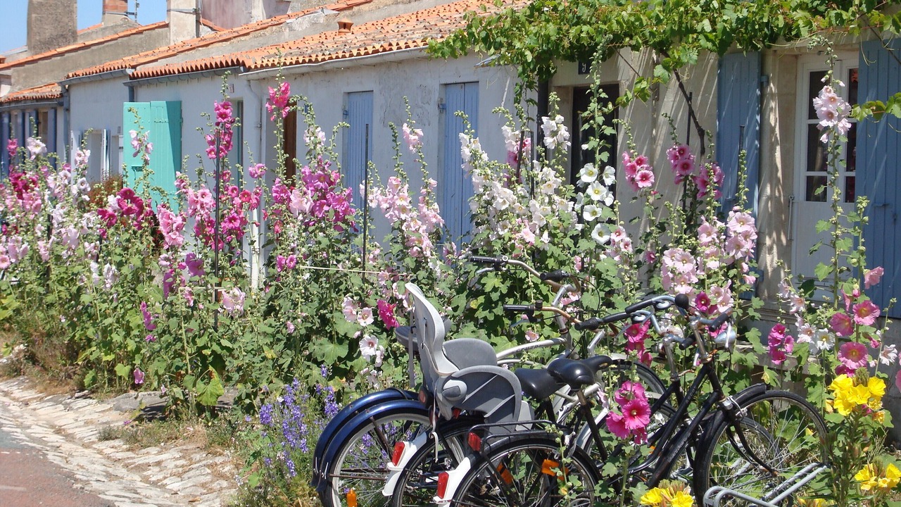 Photo of Outdoor in Aytre