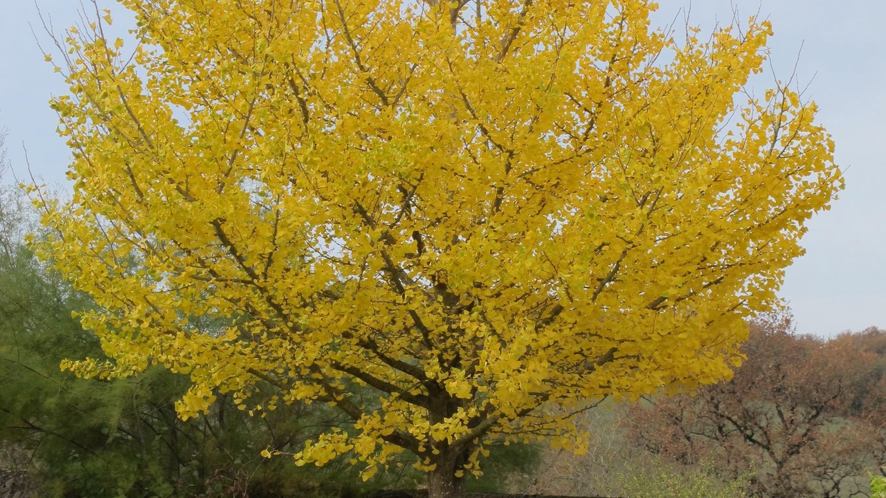 Photo of Outdoor in Abilly