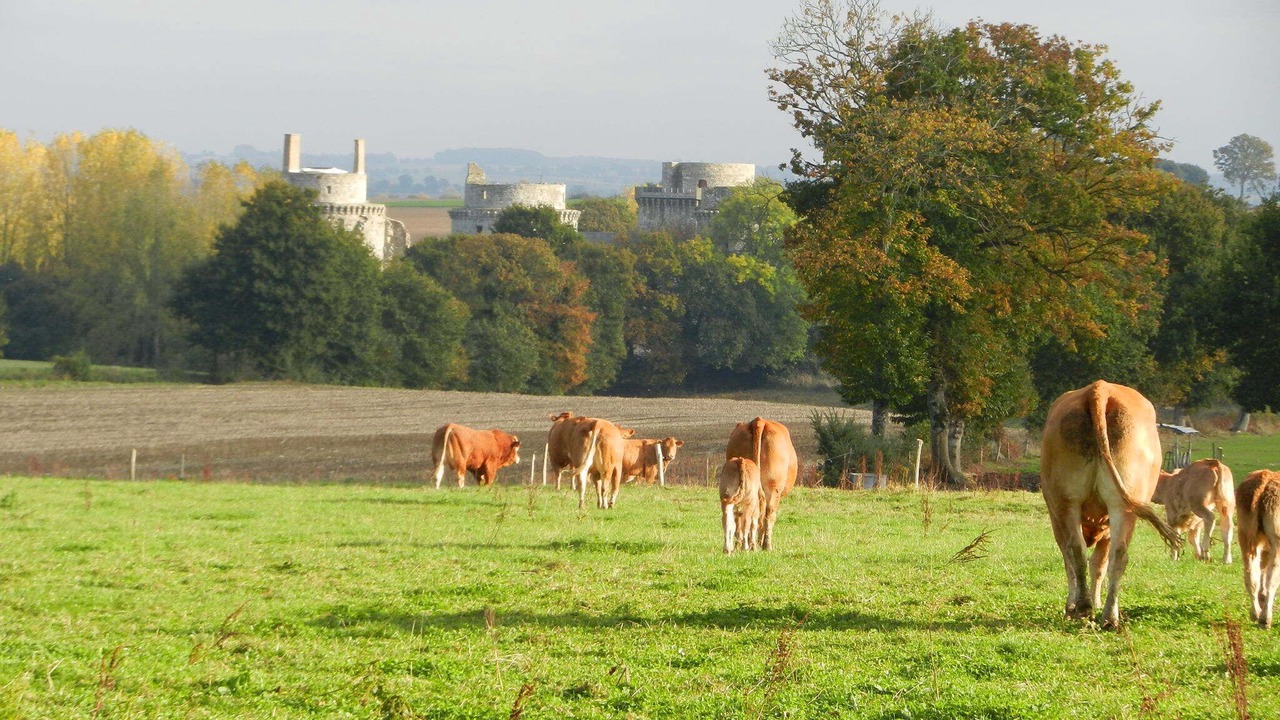 Photo of Outdoor in Pledeliac