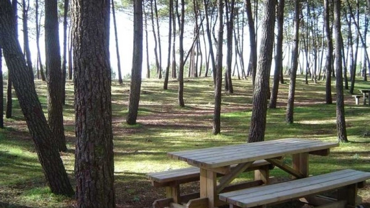 Photo of Outdoor in La Faute-sur-Mer