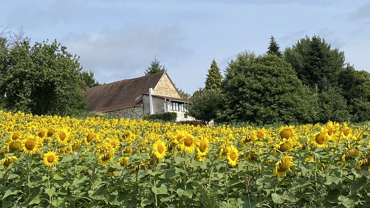 Photo of Outdoor in La Coquille