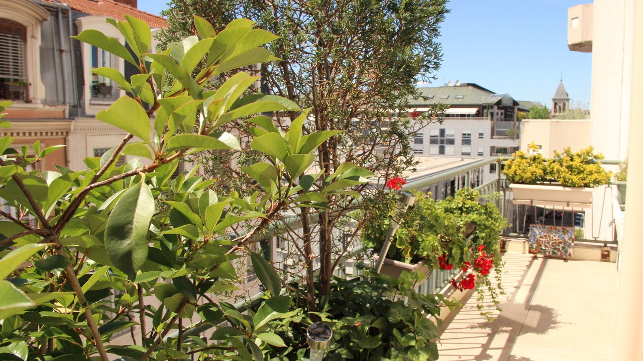 Photo of Outdoor in Moliere - Edgard Quinet