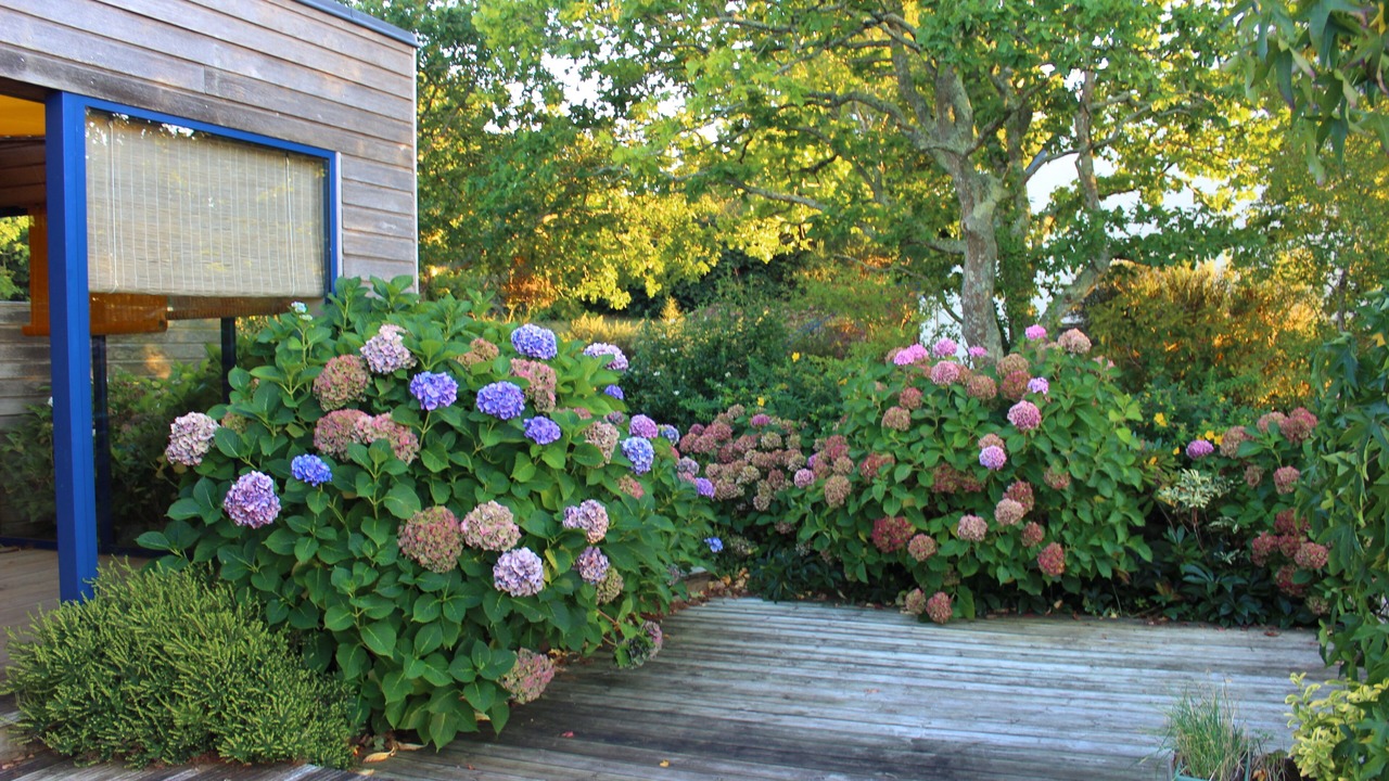 Photo of Outdoor in Loperhet