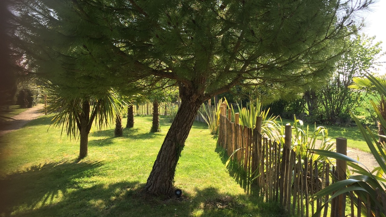 Photo of Outdoor in La Fresnais